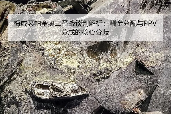 mei-wei-se-pa-kui-ao-er-fan-zhan-tan-pan-jie-xi-chou-jin-fen-pei-yu-fen-cheng-de-he-xin-fen-qi-3-996.jpg