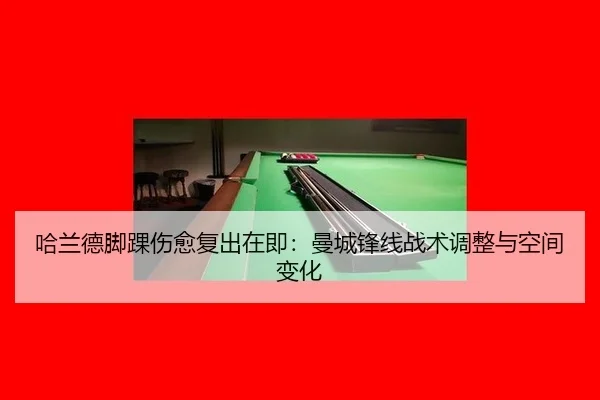 ha-lan-de-jiao-huai-shang-yu-fu-chu-zai-ji-man-cheng-feng-xian-zhan-shu-tiao-zheng-yu-kong-jian-bian-hua-2-570.jpg